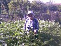 Натиснете снимката за да я уголемите

Име:2008 sort Arnova v tzuftez.jpg
Прегледи:1589
Размер:188.4 КБ
ID:5098482