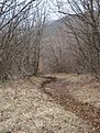 Натиснете снимката за да я уголемите

Име:DSC03214.jpg
Прегледи:152
Размер:165.7 КБ
ID:5098544