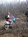 Натиснете снимката за да я уголемите

Име:DSC03217.jpg
Прегледи:165
Размер:179.5 КБ
ID:5098547