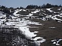Натиснете снимката за да я уголемите

Име:DSC03235.jpg
Прегледи:135
Размер:165.7 КБ
ID:5098553
