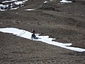 Натиснете снимката за да я уголемите

Име:DSC03239.jpg
Прегледи:132
Размер:146.4 КБ
ID:5098558