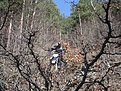 Натиснете снимката за да я уголемите

Име:DSC03271.jpg
Прегледи:138
Размер:366.3 КБ
ID:5098583