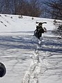Натиснете снимката за да я уголемите

Име:DSC03279.jpg
Прегледи:134
Размер:86.9 КБ
ID:5098591