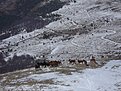 Натиснете снимката за да я уголемите

Име:DSC03285.jpg
Прегледи:124
Размер:158.4 КБ
ID:5098596