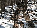 Натиснете снимката за да я уголемите

Име:IMG_0203.jpg
Прегледи:165
Размер:247.9 КБ
ID:5098765