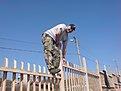 Натиснете снимката за да я уголемите

Име:DSC01875.jpg
Прегледи:187
Размер:119.0 КБ
ID:5100415
