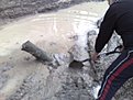 Натиснете снимката за да я уголемите

Име:12042009156.jpg
Прегледи:197
Размер:87.6 КБ
ID:5101320