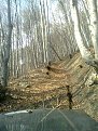 Натиснете снимката за да я уголемите

Име:Изображение0216.jpg
Прегледи:134
Размер:147.3 КБ
ID:5101414