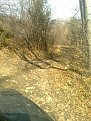 Натиснете снимката за да я уголемите

Име:Изображение0228.jpg
Прегледи:140
Размер:134.8 КБ
ID:5101425
