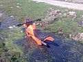 Натиснете снимката за да я уголемите

Име:Image228.jpg
Прегледи:159
Размер:196.3 КБ
ID:5101444