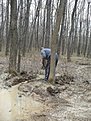 Натиснете снимката за да я уголемите

Име:P1040471.jpg
Прегледи:148
Размер:150.5 КБ
ID:5101508