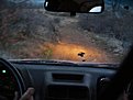 Натиснете снимката за да я уголемите

Име:P1040488.JPG
Прегледи:152
Размер:66.9 КБ
ID:5101522