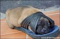 Натиснете снимката за да я уголемите

Име:1239883237_image006.jpg
Прегледи:309
Размер:68.7 КБ
ID:5102246
