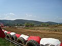 Натиснете снимката за да я уголемите

Име:DSC05443.jpg
Прегледи:129
Размер:122.2 КБ
ID:5102422