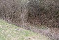 Натиснете снимката за да я уголемите

Име:IMG_0739.jpg
Прегледи:670
Размер:120.9 КБ
ID:5102651