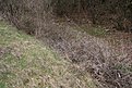 Натиснете снимката за да я уголемите

Име:IMG_0741.jpg
Прегледи:664
Размер:125.3 КБ
ID:5102652