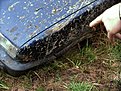 Натиснете снимката за да я уголемите

Име:DSCF0222.jpg
Прегледи:199
Размер:253.9 КБ
ID:5103097