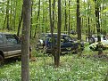 Натиснете снимката за да я уголемите

Име:DSC03592.jpg
Прегледи:215
Размер:275.8 КБ
ID:5103194