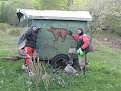 Натиснете снимката за да я уголемите

Име:Picture 023.jpg
Прегледи:227
Размер:180.5 КБ
ID:5103362