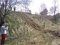 Натиснете снимката за да я уголемите

Име:Photo-0484.jpg
Прегледи:241
Размер:318.0 КБ
ID:5104586