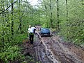 Натиснете снимката за да я уголемите

Име:05052009258.jpg
Прегледи:183
Размер:349.1 КБ
ID:5104807