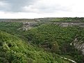 Натиснете снимката за да я уголемите

Име:DSC07433.jpg
Прегледи:126
Размер:152.1 КБ
ID:5105104