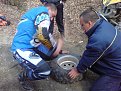 Натиснете снимката за да я уголемите

Име:DSC00729.jpg
Прегледи:208
Размер:155.0 КБ
ID:5106027