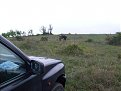 Натиснете снимката за да я уголемите

Име:S7301667.JPG
Прегледи:88
Размер:53.5 КБ
ID:5106074