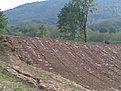 Натиснете снимката за да я уголемите

Име:трапец.jpg
Прегледи:136
Размер:124.4 КБ
ID:5106228
