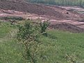 Натиснете снимката за да я уголемите

Име:първата рулетка1.jpg
Прегледи:133
Размер:123.3 КБ
ID:5106232