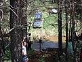 Натиснете снимката за да я уголемите

Име:P5241413.jpg
Прегледи:170
Размер:245.8 КБ
ID:5107480