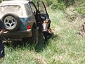 Натиснете снимката за да я уголемите

Име:P5241443.jpg
Прегледи:178
Размер:237.5 КБ
ID:5107495