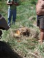Натиснете снимката за да я уголемите

Име:P5241445.jpg
Прегледи:177
Размер:166.1 КБ
ID:5107496
