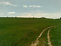 Натиснете снимката за да я уголемите

Име:24052009(011).jpg
Прегледи:107
Размер:107.3 КБ
ID:5107702