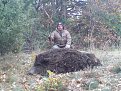 Натиснете снимката за да я уголемите

Име:DSC00427.jpg
Прегледи:575
Размер:242.2 КБ
ID:5109199