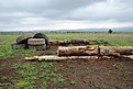 Натиснете снимката за да я уголемите

Име:DSC_0026.jpg
Прегледи:97
Размер:263.8 КБ
ID:5110737
