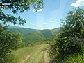 Натиснете снимката за да я уголемите

Име:DSC01885.jpg
Прегледи:98
Размер:192.7 КБ
ID:5111044