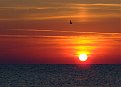 Натиснете снимката за да я уголемите

Име:DSCF2726.jpg
Прегледи:176
Размер:64.9 КБ
ID:5111654