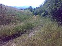 Натиснете снимката за да я уголемите

Име:21062009035.jpg
Прегледи:151
Размер:282.7 КБ
ID:5111693