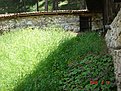 Натиснете снимката за да я уголемите

Име:DSC06131.jpg
Прегледи:160
Размер:264.7 КБ
ID:5112769