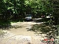 Натиснете снимката за да я уголемите

Име:DSC06214.jpg
Прегледи:143
Размер:257.7 КБ
ID:5112808