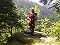 Натиснете снимката за да я уголемите

Име:DSCI0044.JPG
Прегледи:116
Размер:333.3 КБ
ID:5112960