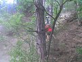 Натиснете снимката за да я уголемите

Име:Изобр036.jpg
Прегледи:216
Размер:98.3 КБ
ID:5113556