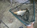 Натиснете снимката за да я уголемите

Име:IMGP1720.JPG
Прегледи:215
Размер:217.6 КБ
ID:5113963
