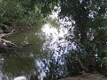 Натиснете снимката за да я уголемите

Име:IMGP1723.JPG
Прегледи:205
Размер:239.4 КБ
ID:5113965