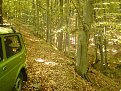Натиснете снимката за да я уголемите

Име:dop 042.jpg
Прегледи:369
Размер:213.7 КБ
ID:5114152