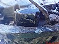Натиснете снимката за да я уголемите

Име:DSC00832.jpg
Прегледи:161
Размер:132.9 КБ
ID:5114216