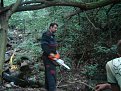 Натиснете снимката за да я уголемите

Име:DSC05610.jpg
Прегледи:383
Размер:169.3 КБ
ID:5114252