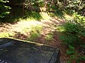 Натиснете снимката за да я уголемите

Име:DSC02488.JPG
Прегледи:155
Размер:191.8 КБ
ID:5114370