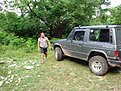 Натиснете снимката за да я уголемите

Име:DSC02500.JPG
Прегледи:158
Размер:251.9 КБ
ID:5114374